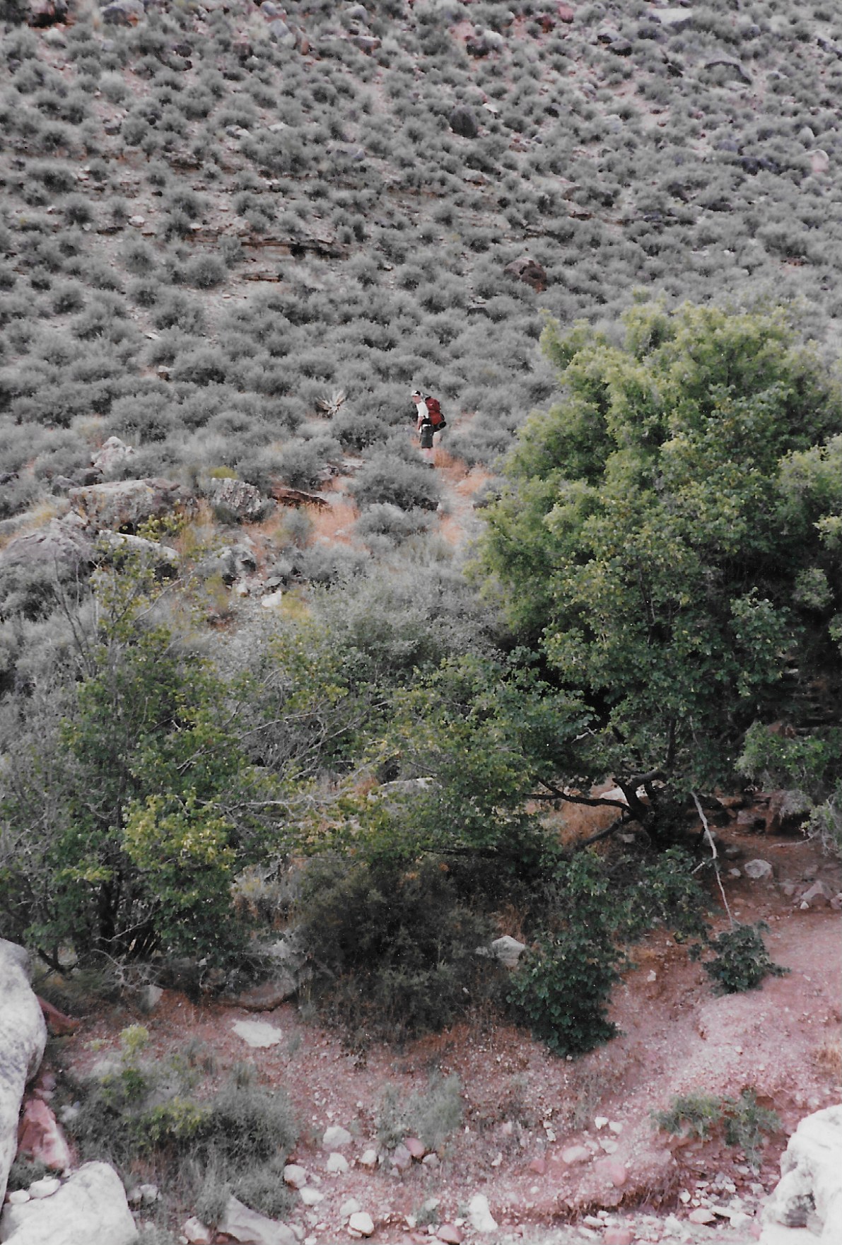 Fishing photo 1